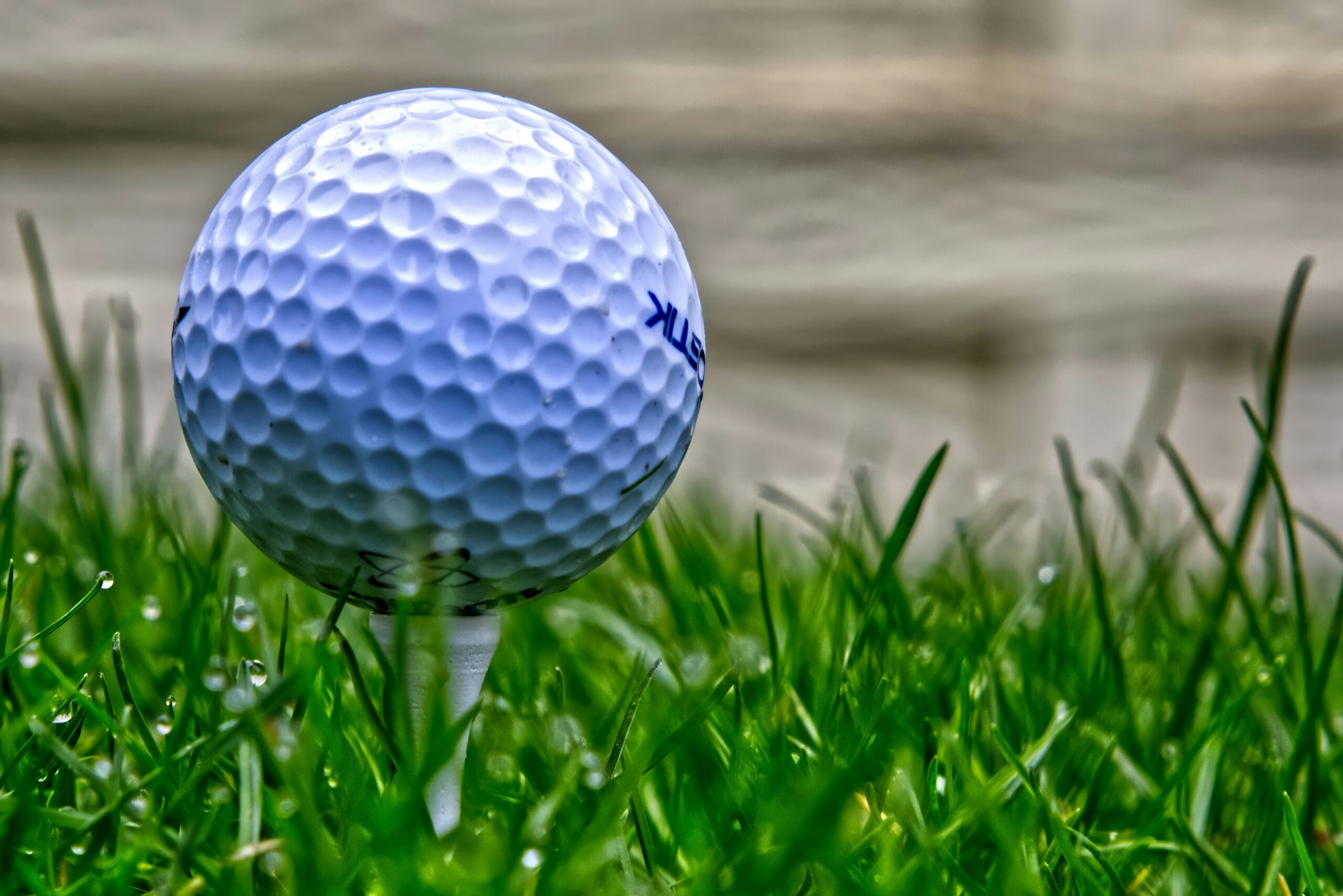 5th Annual Golf Tournament